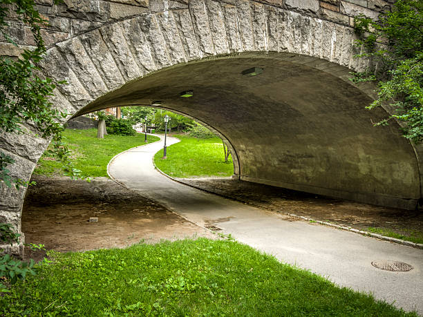istock Stone bridge in Central Park in Manhattan, New York 480496712