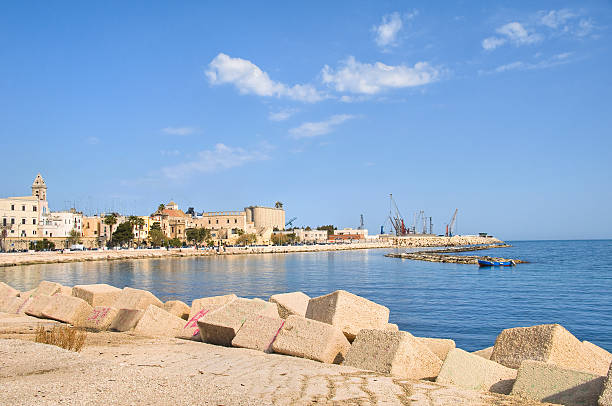 istock Panoramic view of Bari. Puglia. Italy. 480496958