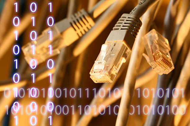 istock Insulated cords of network link 480504380