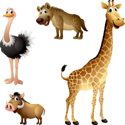 Cartoon africa animal set - ostrich, hyena, warthog, giraffe