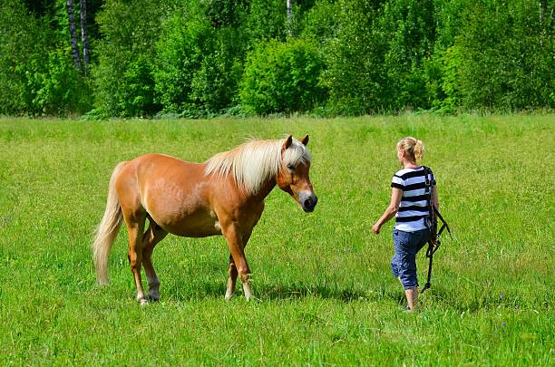 istock Woman and horse on meadow 480504730