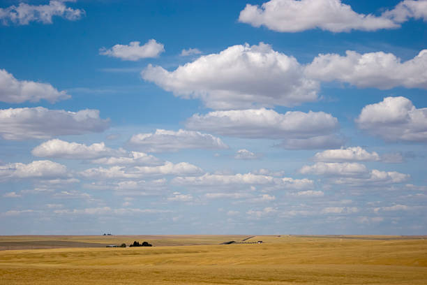 istock Middle of nowhere - Eastern Washington State 480508116