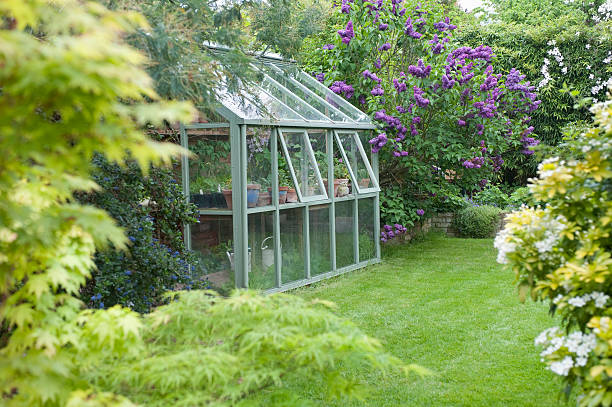 istock Greenhouse In Back Garden 480512667