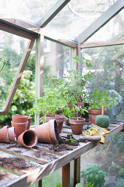 istock Overturned Pots In Greenhouse 480512691