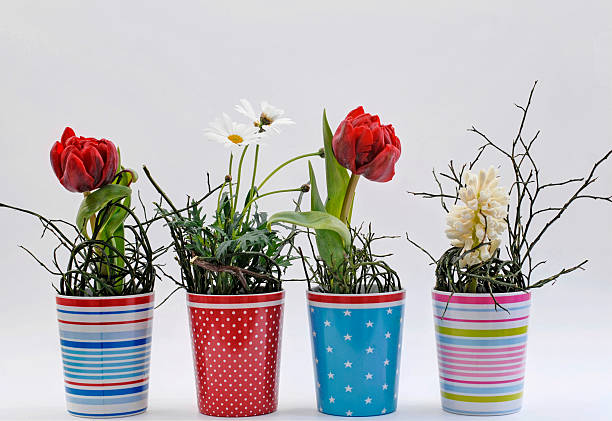 istock Spring flowers in colorful pots 480517953