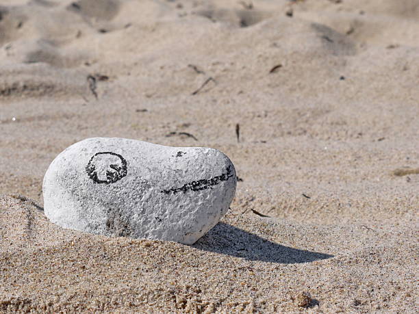 istock archaeology fun fossil on the beach 480520569