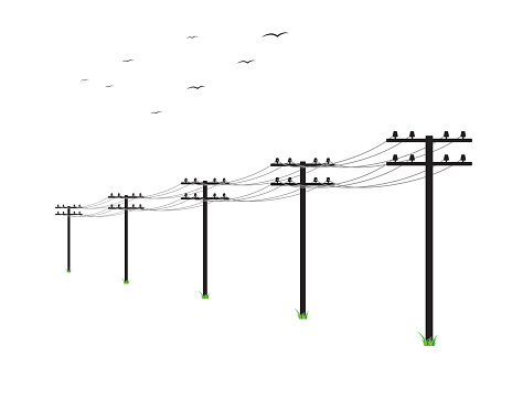 high voltage power lines and birds on white background