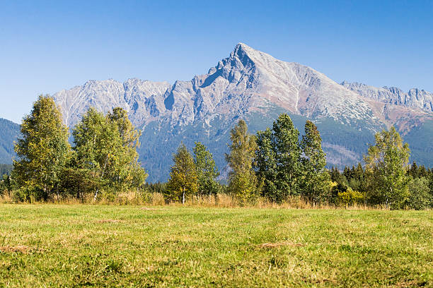 istock View on mountains of High Tatras and peak Krivan 480524957
