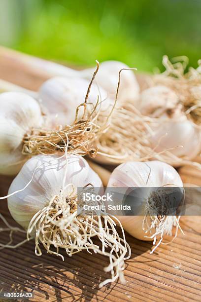 Knoblauch Glühbirnen Auf Holz Stockfoto und mehr Bilder von Fotografie - Fotografie, Frische, Gemüse