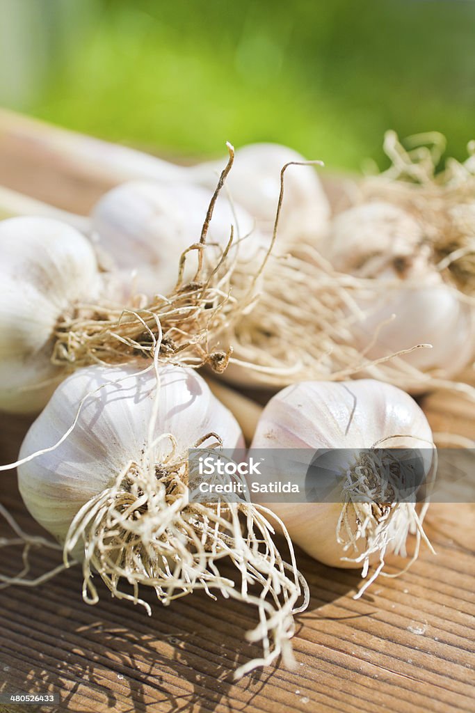 Lâmpadas de alho em madeira - Foto de stock de Alho royalty-free