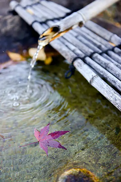 Photo of Japanese Bamboo fountain with Autumn Red Maple Leaf.