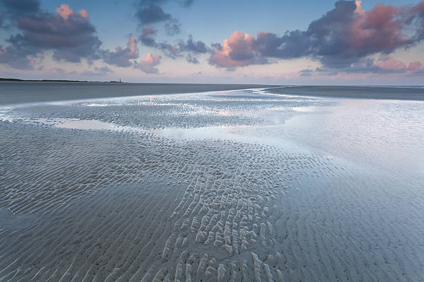 istock North sea coast at sunrise 480527868