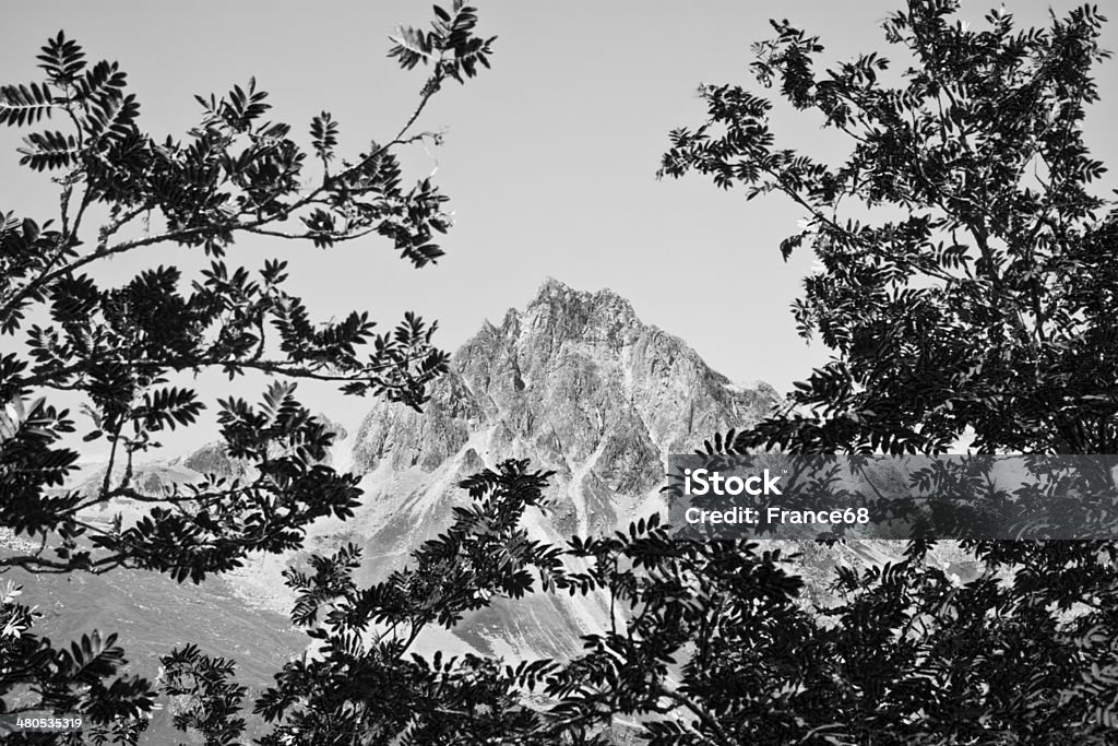 Camminare intorno al Lago Sils (Svizzera): Piz Lagrev sullo sfondo - Foto stock royalty-free di Alpi