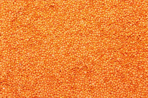 vermelho lentilhas - lentil full frame macro close up imagens e fotografias de stock
