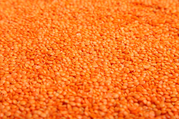 vermelho lentilhas - lentil full frame macro close up imagens e fotografias de stock
