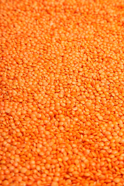 vermelho lentilhas - lentil full frame macro close up imagens e fotografias de stock