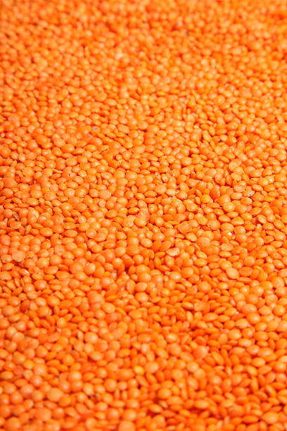 красный lentils - lentil full frame macro close up стоковые фото и изображения