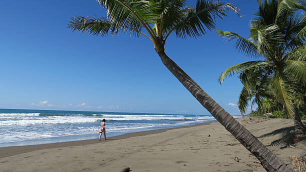 Palo Seco beach (Costa Rica) stock photo