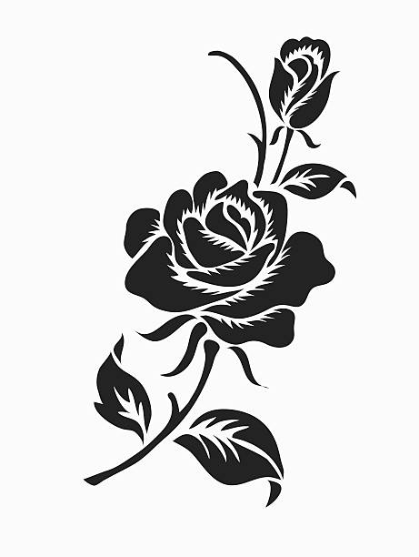 illustrations, cliparts, dessins animés et icônes de rose design croquis de motif. - rose single flower flower stem