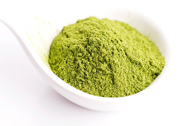 istock Young barley grass. Detox superfood. 480537420