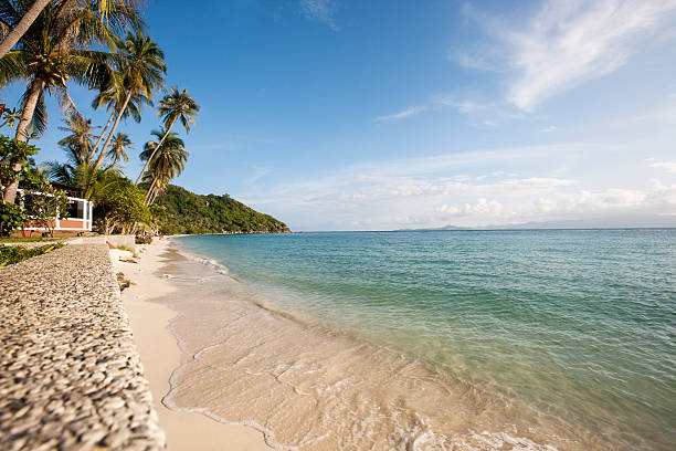 istock Beach and palm trees on Koh Pha Ngan; Thailand 480537757