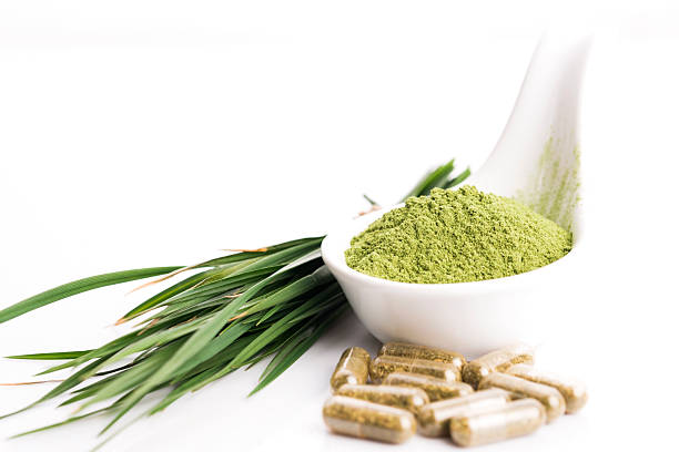istock Young barley grass. Detox superfood. 480538016