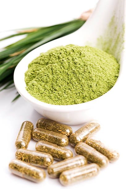 istock Young barley grass. Detox superfood. 480538020