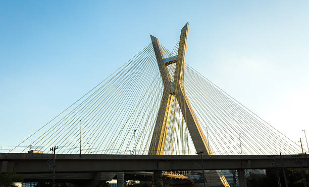 istock Estaiada Bridge in Sao Paulo, Brazil 480540662