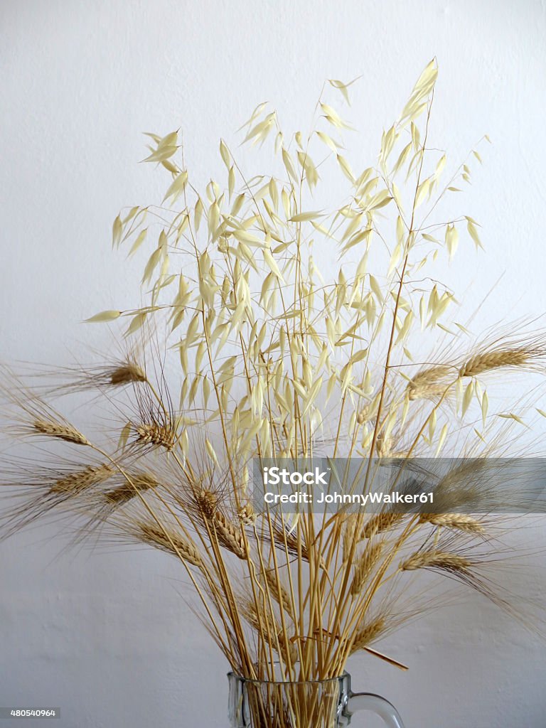 Kuiva vehnä ja kaura maljakossa - Rojaltivapaa avainsanalla Kuivattu kasvi ja tyyppiä Kuvapankin valokuva
