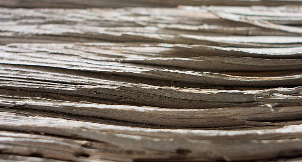 close-up velha de madeira - macro film material rough macro - fotografias e filmes do acervo