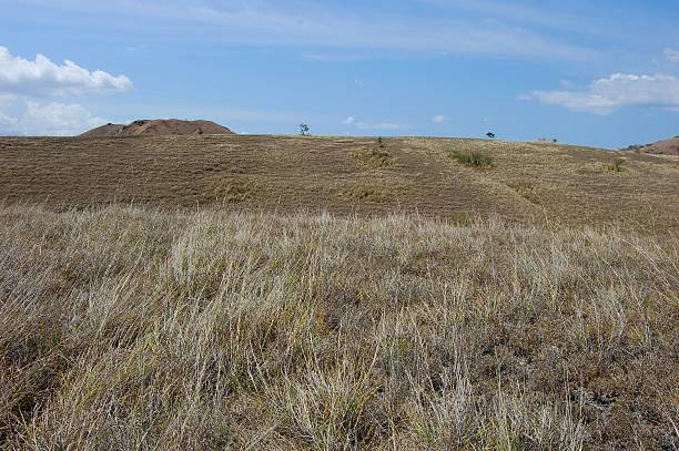 istock Rinca island dry landscape, Indonesia 480547711