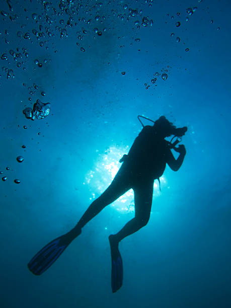 istock the diver in north Andaman, Thailand 480549214