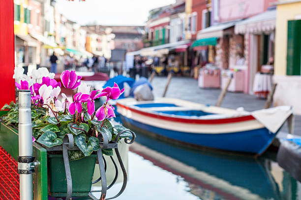 Flower pot in front of a boat, Venice