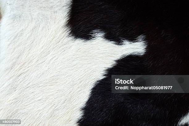 Close Up Of An Animal Colored Fur Texture Stock Photo - Download Image Now - Abstract, Animal, Animal Markings