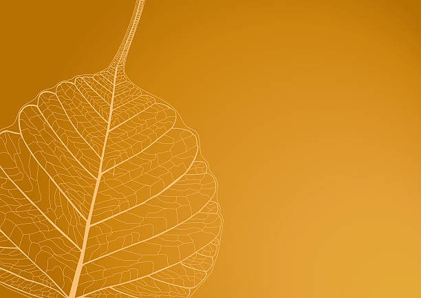 Illustration with filigree leaves