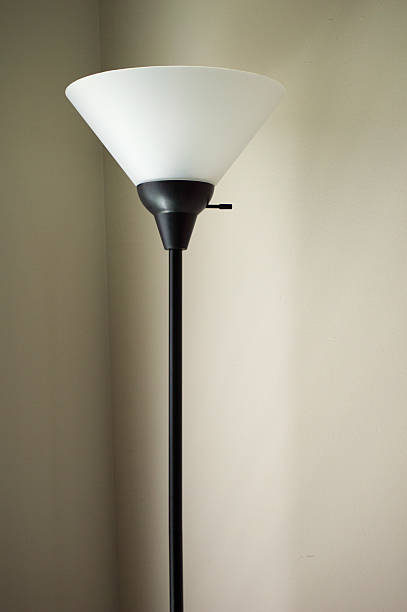 istock Tall black and white standing lamp 480554242