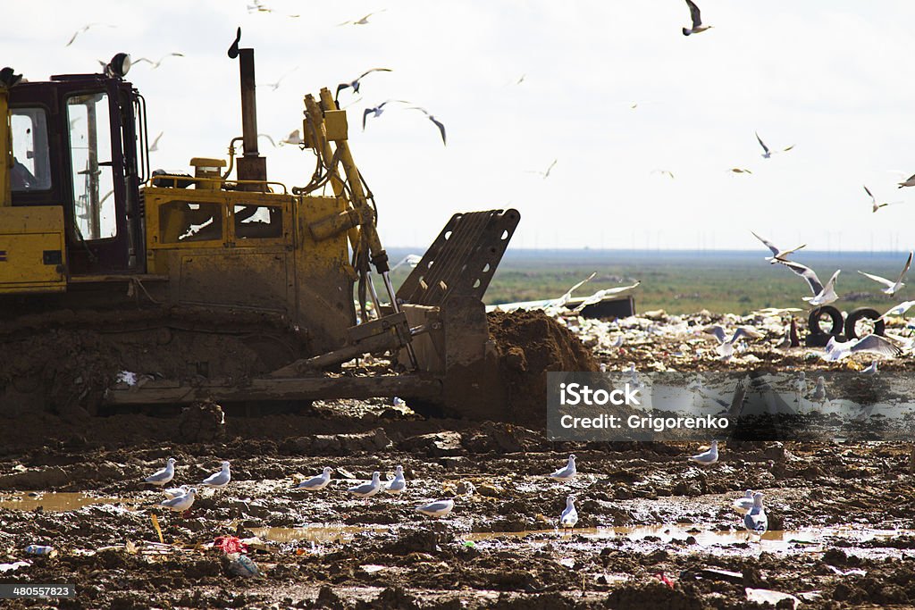 Landfill rubbish bulldozers processing garbage Shot of bulldozers working a landfill site Bird Stock Photo