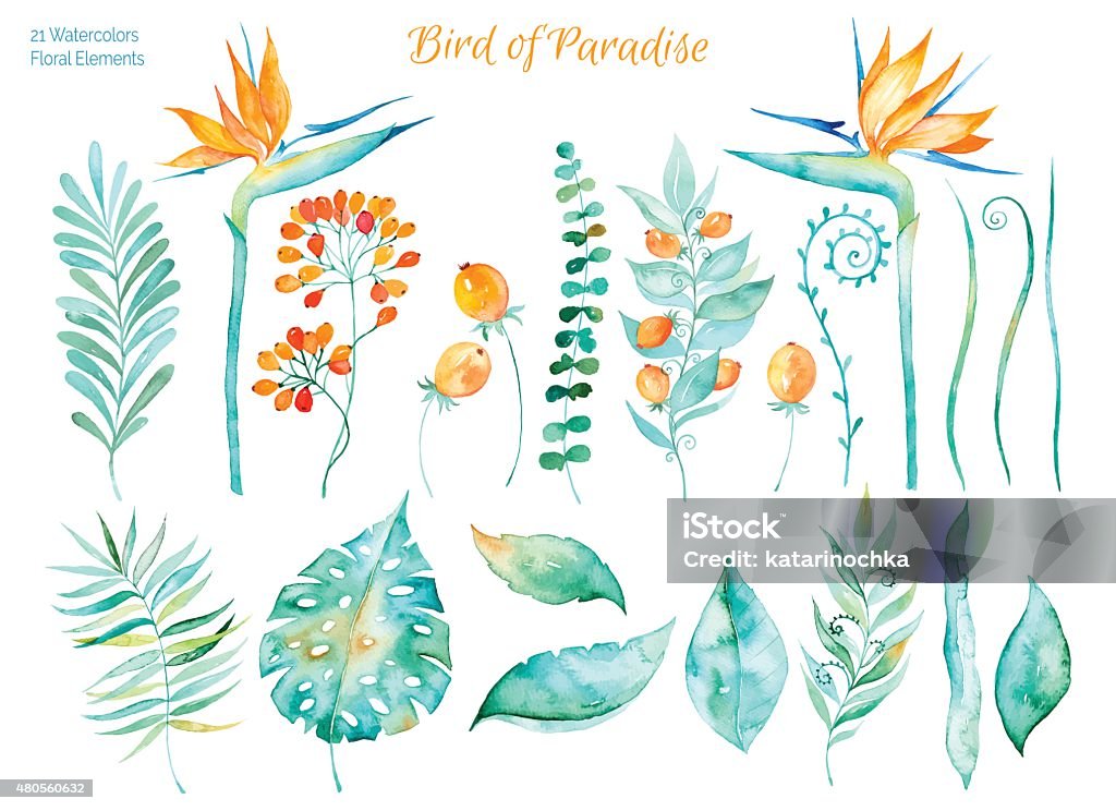Colorful collection with tropical leaves and flowers of Paradise Vector floral set.Colorful collection with tropical leaves and flowers of Paradise, watercolor drawing. Tropical leaves set. Set of floral elements for your compositions. Watercolor Paints stock vector
