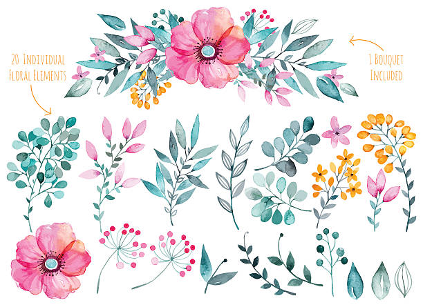 illustrazioni stock, clip art, cartoni animati e icone di tendenza di collezione floreale colorato viola con foglie e fiori, disegno ad acquerello. - season spring rose branch