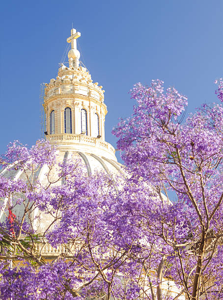 istock Dome of  Basilica in Flowers, Malta 480560802