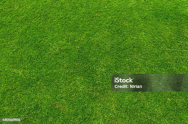 Green Gras Stockfoto und mehr Bilder von Gras - Gras, Rasen, Ansicht aus erhöhter Perspektive