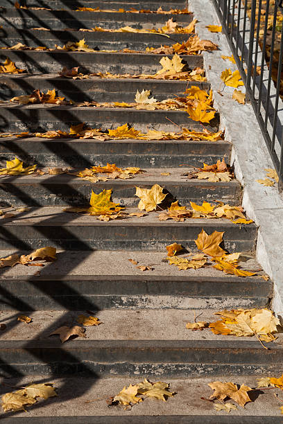 黄色の葉に横たわる階段 - footpath autumn stone old ストックフォトと画像