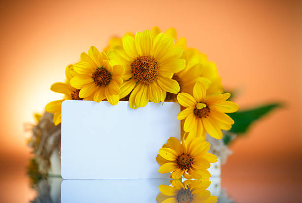 istock bunch of yellow daisy flowers 480561610