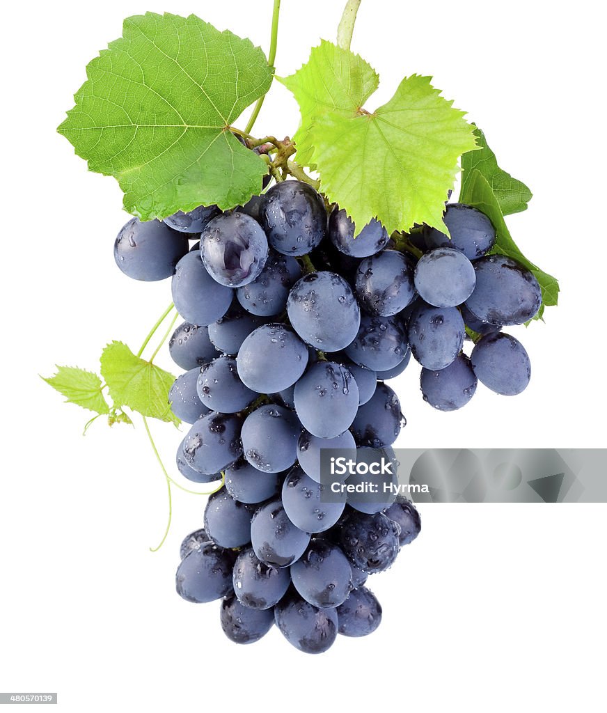 Fresca racimo de uvas con hojas aisladas sobre fondo blanco - Foto de stock de Uva libre de derechos
