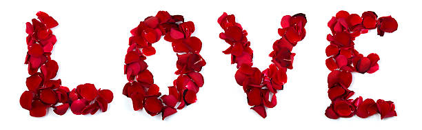 istock Love written with rose petals 480572863