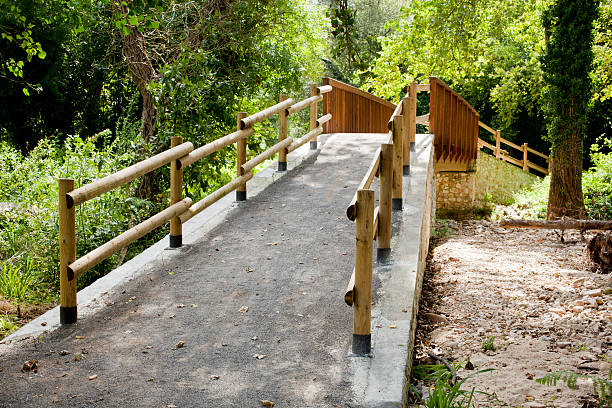 istock Wood bridge in the forest 480578177