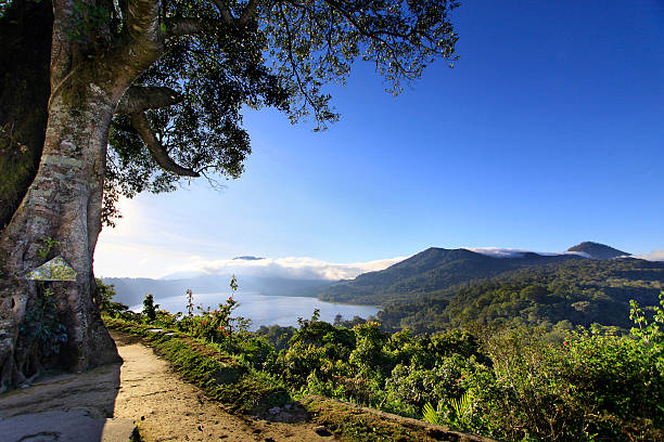 istock Morning at Munduk 480578835