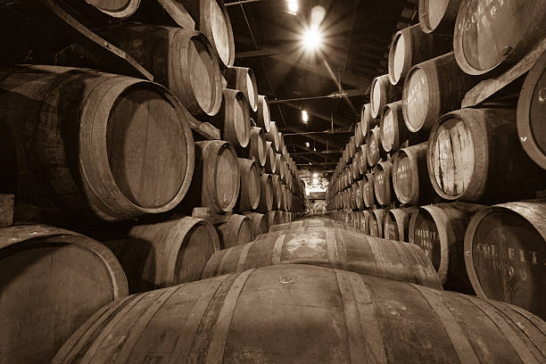 istock Barrels in the wine cellar 480581540