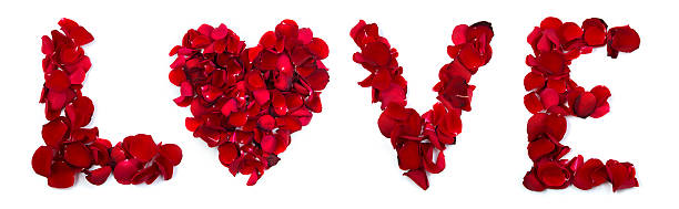istock Love written with rose petals 480581549