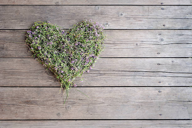 istock form hearts of thyme on the old board 480582100